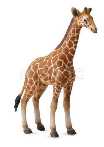 Collecta Žirafa Mládě