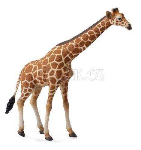 Collecta Figurky Žirafa