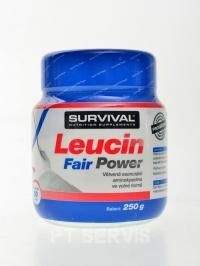 Survival Leucin fair power 250 g