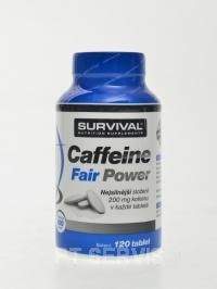 Survival Caffeine fair power 120 tablet