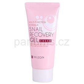 Mizon Multi Function Formula pleťový gel (Lightweight Snail Gel Cream Containing 74% of Snail Secretion Filtrate) 45 ml