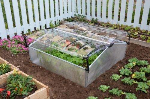 PALRAM COLD FRAME Double arch