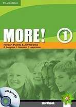 More! Level 1 - Workbook with Audio CD