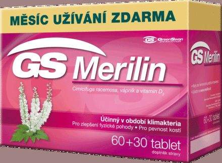 GS Merilin 90 tablet