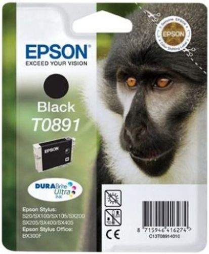 EPSON EC13T08914020 černá