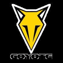 Coyote glykosol -40°C 3 L