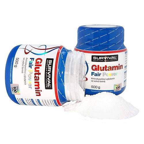 Survival Glutamin Fair Power 500 g