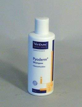 VIRBAC Pyoderm šampon 200 ml