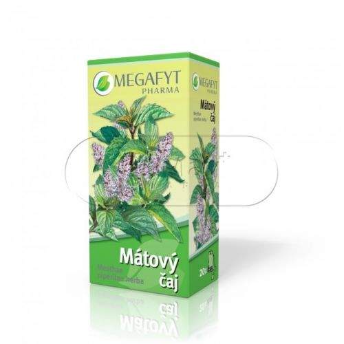 Megafyt Mátový čaj 20x2 g