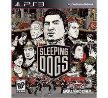 Sleeping Dogs pro PS3