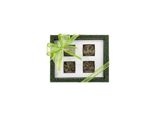 OXALIS Asteria zelená set kvetoucích čajů