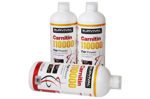 SURVIVAL NUTRITION L-Carnitin 110000 1000 ml