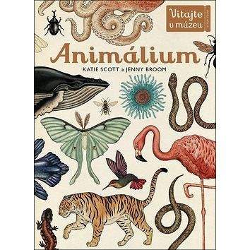 Eastone Animálium: Preskúmajte ríšu zvierat v celej jej nádhere!