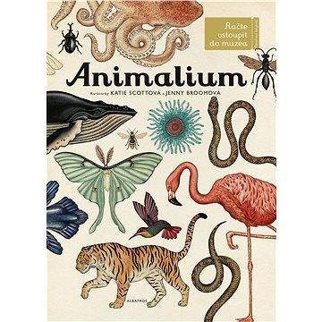 ALBATROS Animalium: Vítáme vás v muzeu
