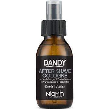 DANDY After Shave Cologne 100 ml