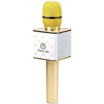 Technaxx BT-X31 Karaoke Mikrofon