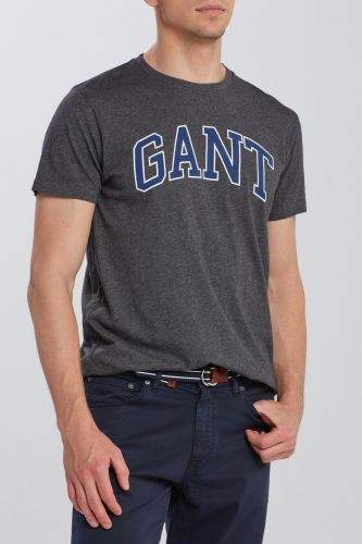 Gant Tričko Gant Arch Outline Ss T-Shirt 2003007-620-Ga-95-S Šedá S
