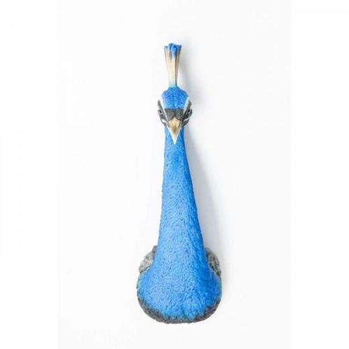 KARE Nástěnná dekorace Peacock