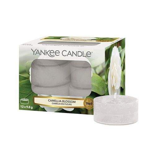 Yankee Candle Svíčky čajové , Květ kamélie, 12 ks