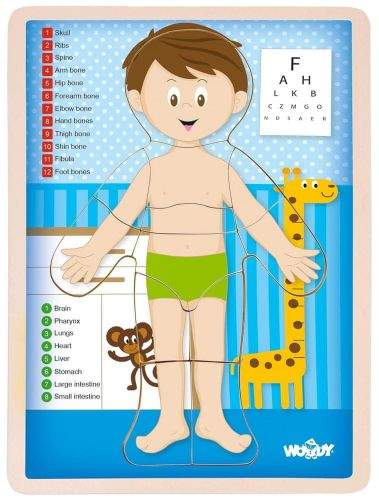 Woody Oboustranné puzzle Lidské tělo chlapec anglicky