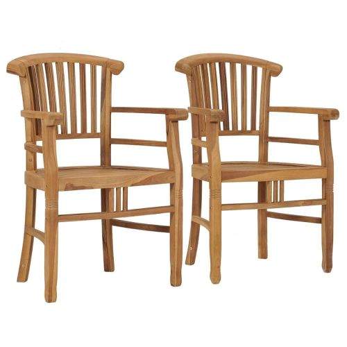 shumee Zahradní židle 2 ks masivní teakové dřevo