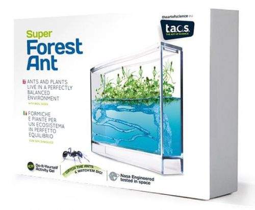 The Art of Science Super Forest Ant Ecoterrarium