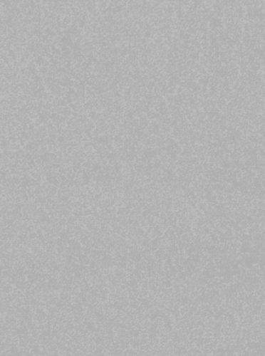 Hanse Home AKCE: 67x120 cm Kusový koberec Nasty 101595 Silber 67x120