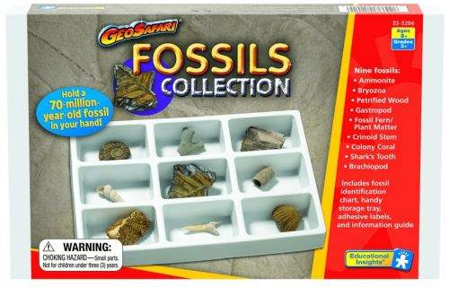 Learning Resources Kolekce fosílií