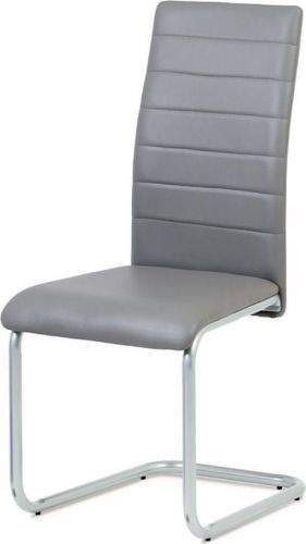 ART Jídelní židle, koženka šedá / šedý lak DCL-102 GREY Art