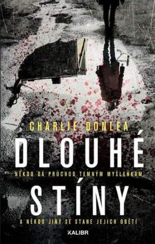 Charlie Donlea: Dlouhé stíny