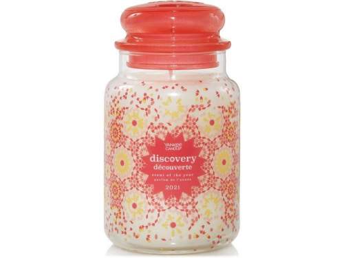 Yankee Candle Discovery 623 g