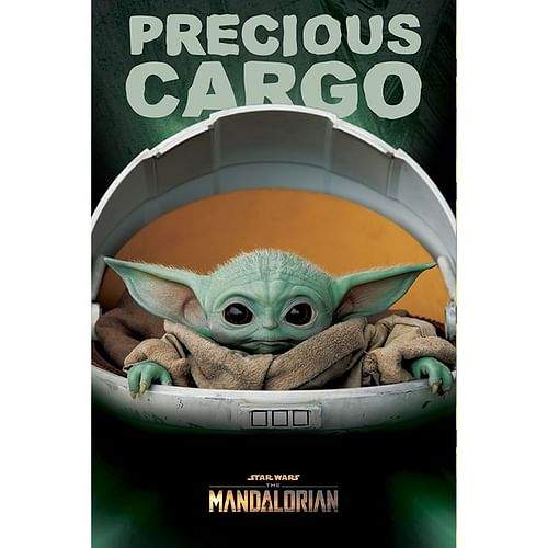 Pyramid International Plakát Star Wars: Mandalorian - Precious Cargo