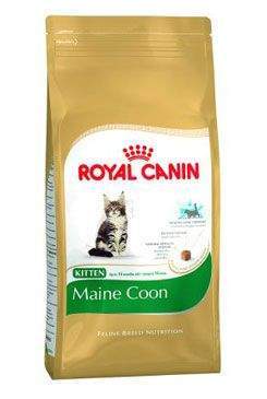 Royal canin Breed  Feline Kitten Maine Coon 10kg