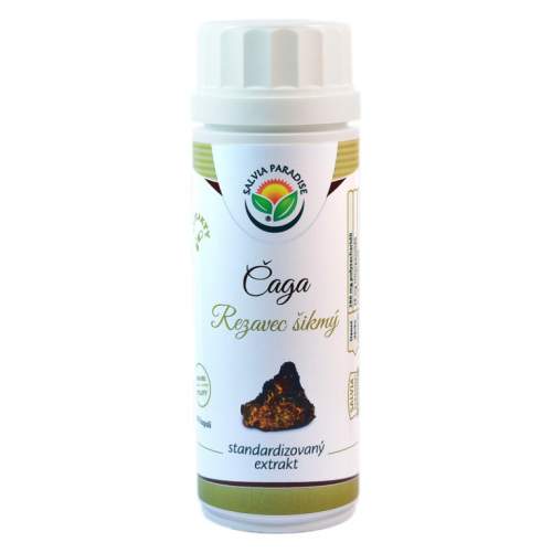 Salvia Paradise Čaga - rezavec šikmý standardizovaný extrakt kapsle 100 ks