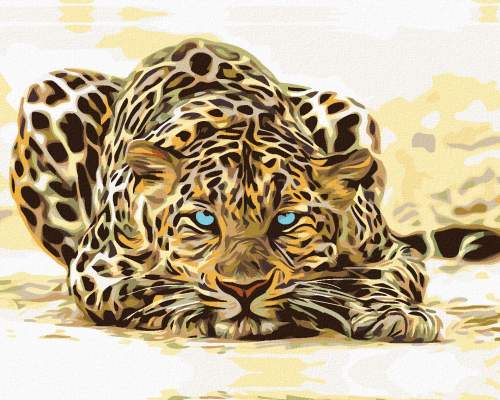 Zuty Malování podle čísel Leopard