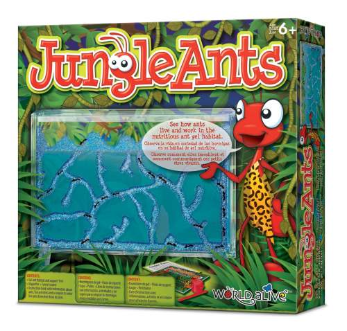 Jungle Ants - gelové mraveniště