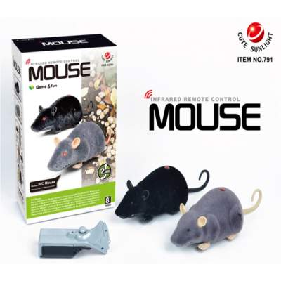 RC myš
