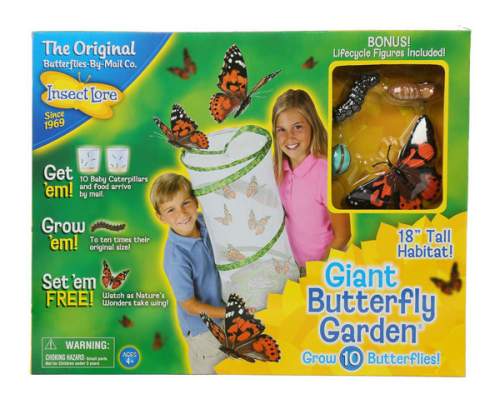 Insect Lore Velká motýlí zahrádka 10 housenek Butterfly Garden