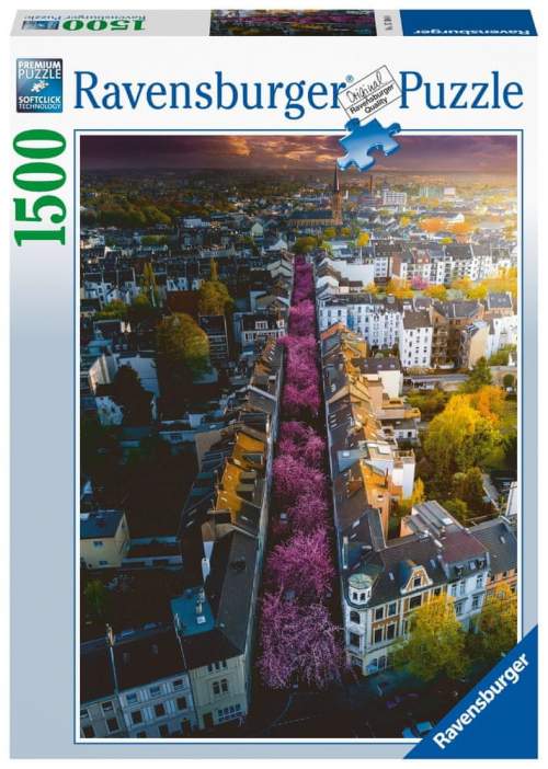 Ravensburger Bonn v květu 1500 dílků