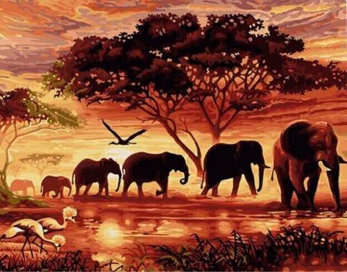 Gaira Malování podle čísel Stádo slonů