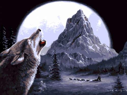 Gaira Malování podle čísel Vlk