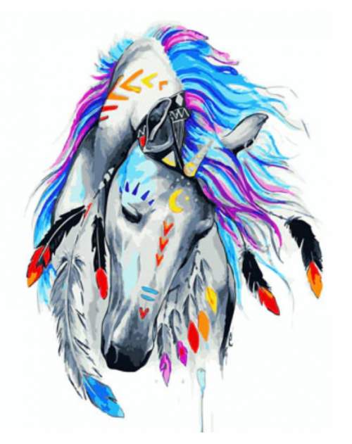 Gaira Malování podle čísel Indiánsky  kůň