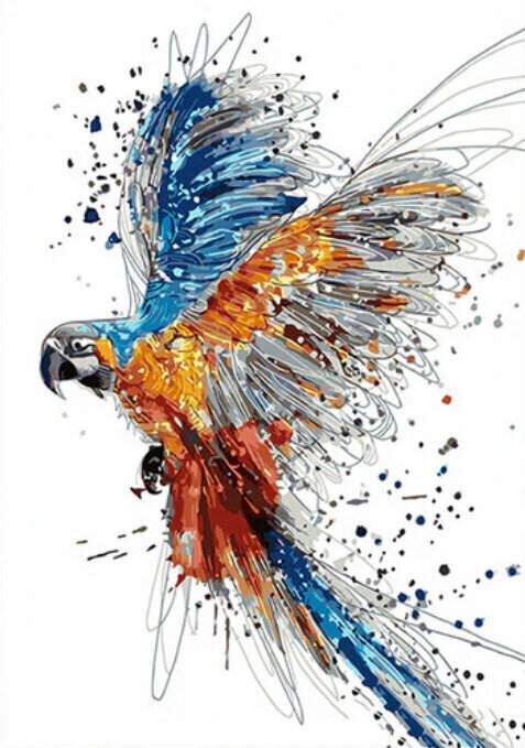 Gaira Malování podle čísel Papoušek
