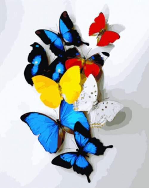 Gaira Malování podle čísel Motýli