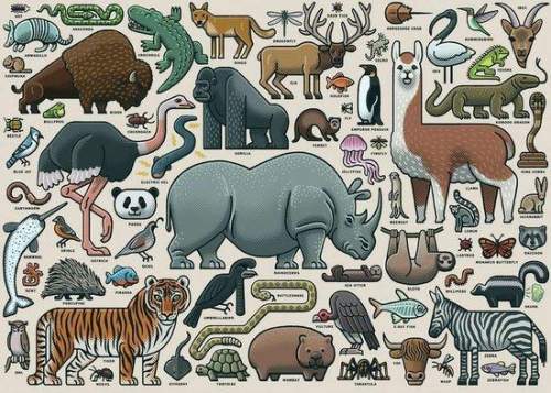 Ravensburger Puzzle - Atlas divokých zvířat 1000 dílků