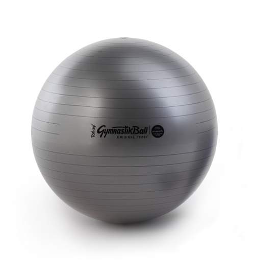 Ledragomma Gymnastik Ball Maxafe 65 cm