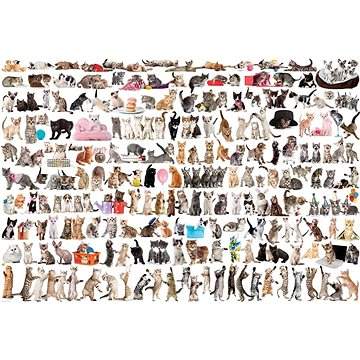 EUROGRAPHICS Puzzle Svět koček 2000 dílků
