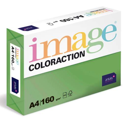 ANTALIS Coloraction A4 160 g 250 ks - Dublin/tmavě zelená