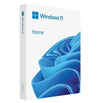 Operační systém Microsoft Windows 11 Home, EN, USB (FPP)