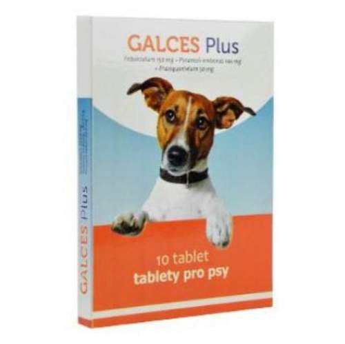 GALCES Plus 10 tablet